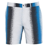 Dominic Blue Degraded Shorts