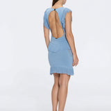 Diani Baby Blue Fringe Detail Sheer Panel Open Back Mini Dress