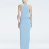 Back view of model wearing Louisa Baby Blue Maxi Dress, highlighting the high neck and sleek silhouette.
