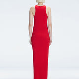 Back view of model wearing Louisa Red Maxi Dress, highlighting the high neck and sleek silhouette.
