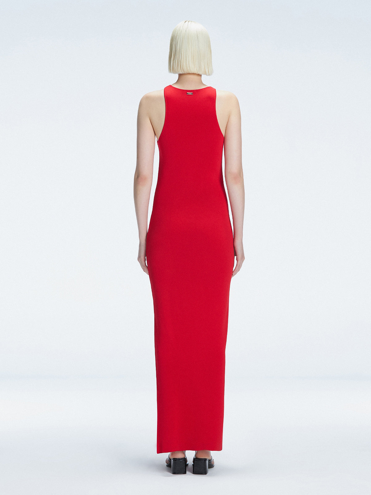 Back view of model wearing Louisa Red Maxi Dress, highlighting the high neck and sleek silhouette.
