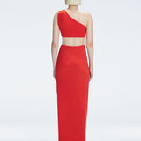 Back view of model wearing Violet Red Maxi Dress, highlighting the one-shoulder design and sleek fit.
