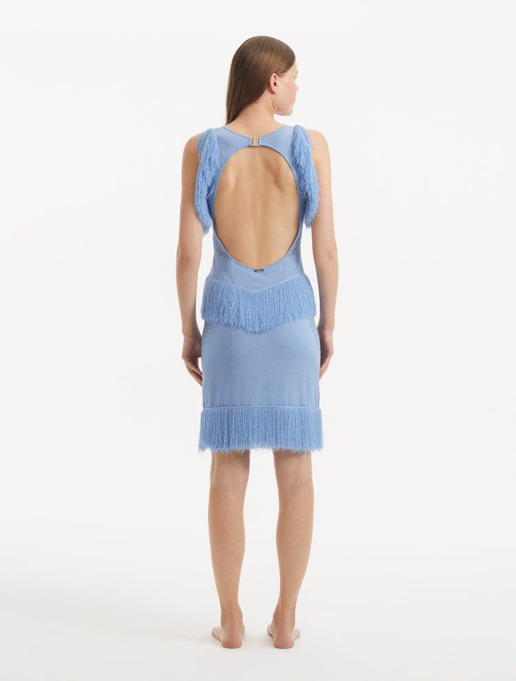 "Back view of the back of the Diani Baby Blue Dress, showcasing the polished gold clasps and low back design."