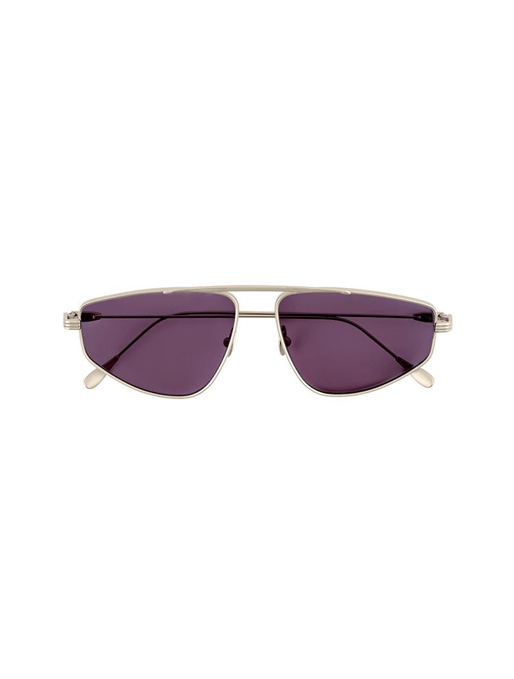Palmdale Black Aviator Sunglasses With Brushed Steel Frame -Women Sunglasses Moeva
